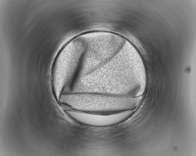 X0000098181240200805221530