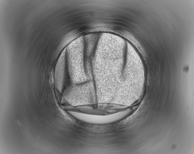 X0000098181241200805221530