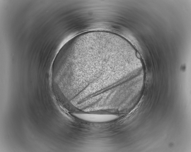 X0000098181242200805221530