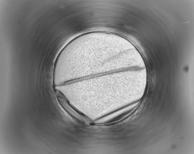 X0000098181244200805221530