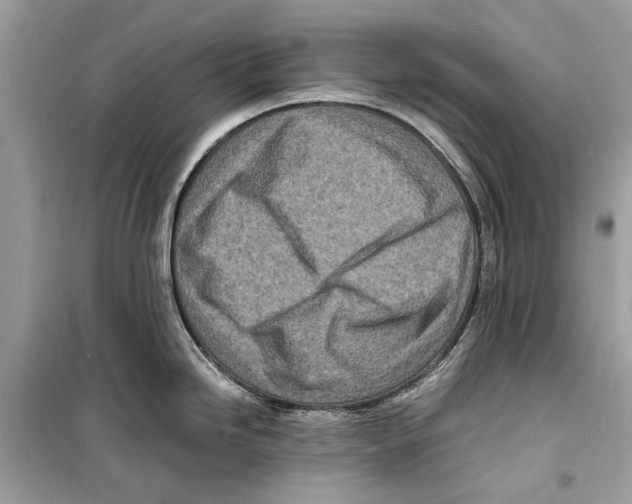 X0000098181246200805221530