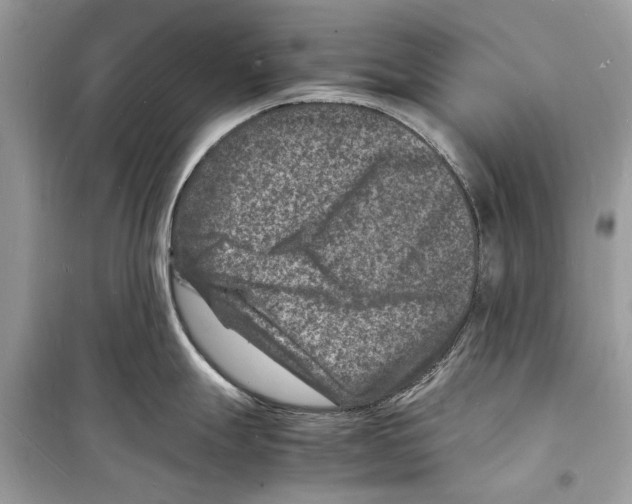 X0000098181247200805221530