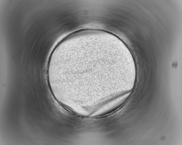 X0000098181248200805221530