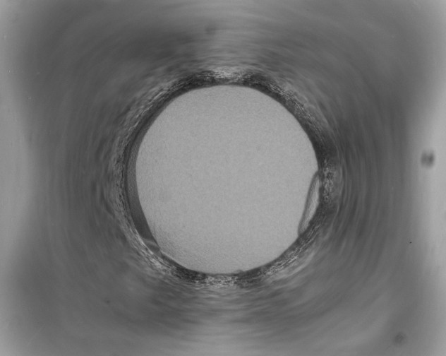 X0000098181249200805221529