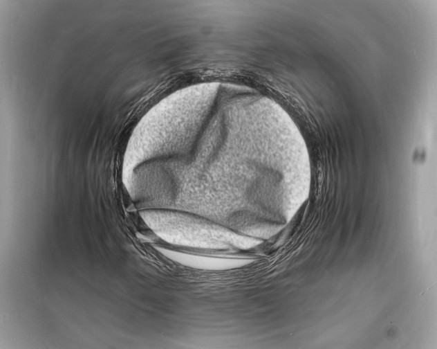 X0000098181250200805221529