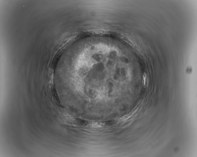 X0000098181251200805221529