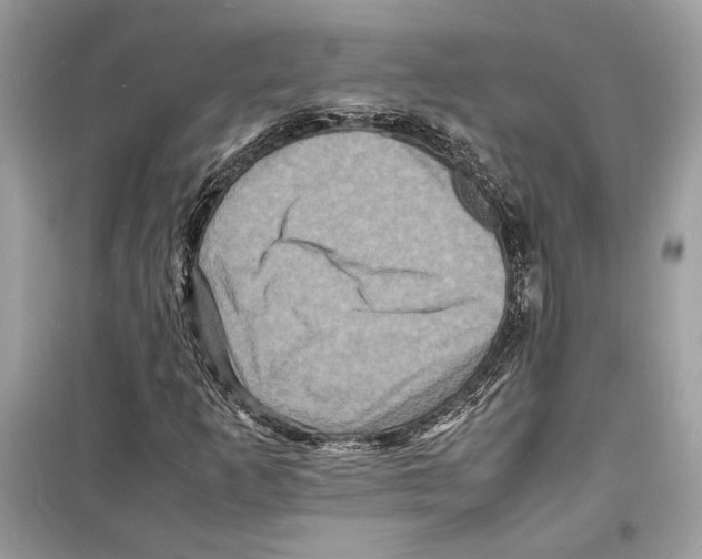 X0000098181253200805221529