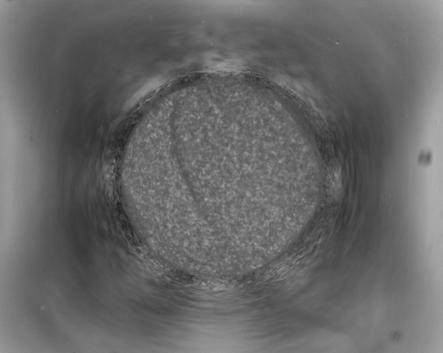 X0000098181254200805221529