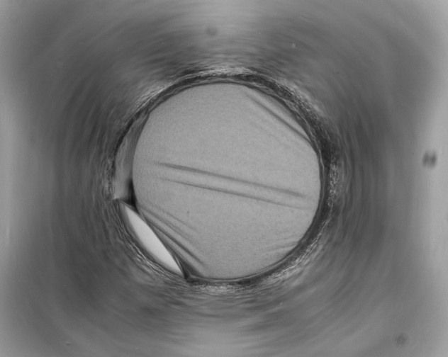 X0000098181257200805221529