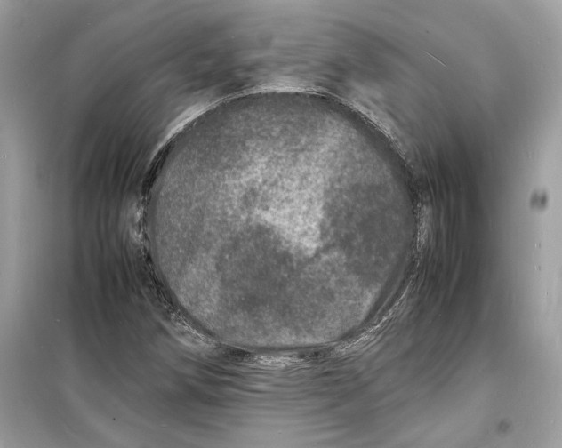 X0000098181258200805221529