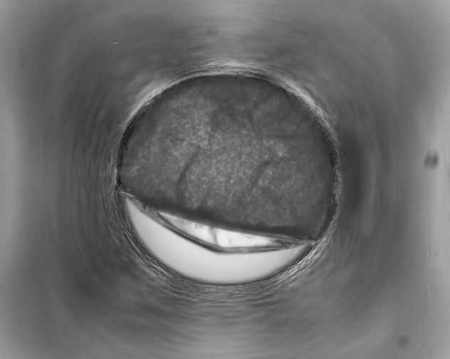 X0000098181259200805221529