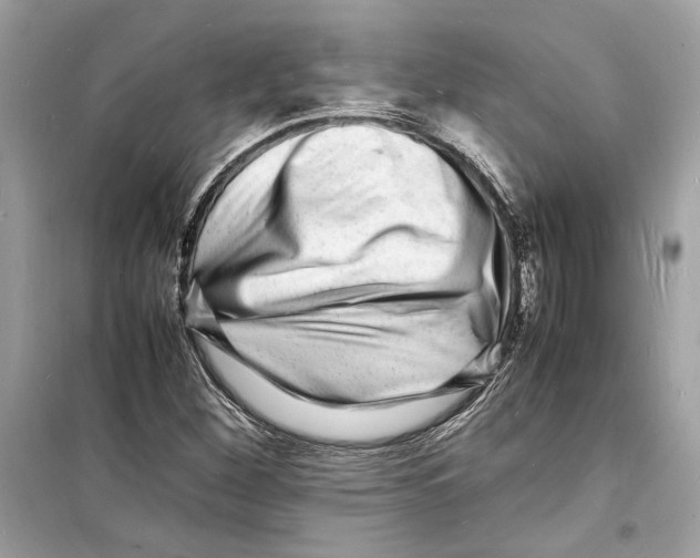 X0000098181260200805221529