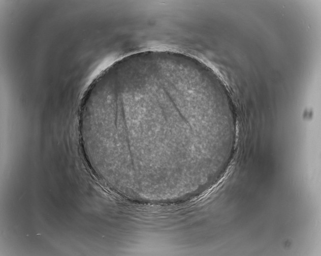 X0000098181263200805221529