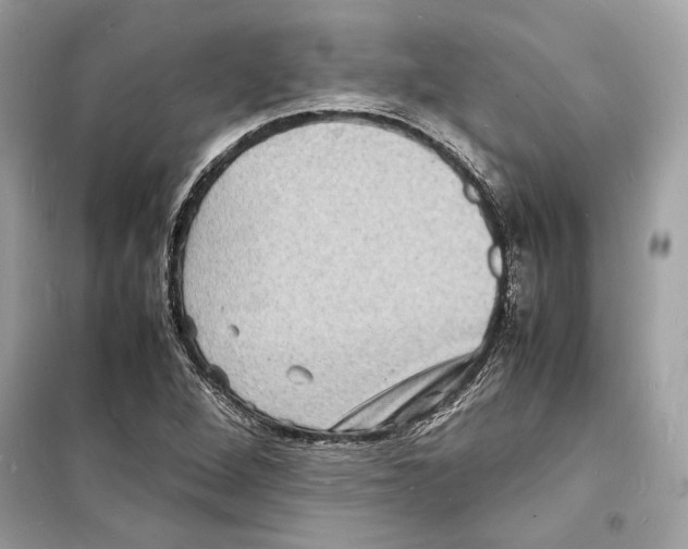 X0000098181264200805221529