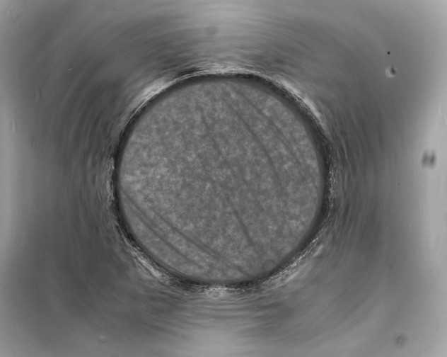 X0000098181265200805221529