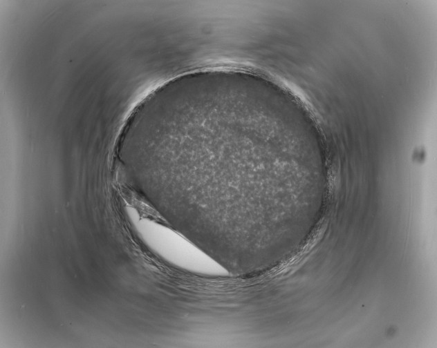 X0000098181267200805221529