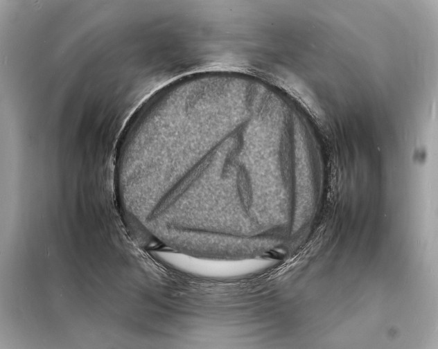 X0000098181268200805221529