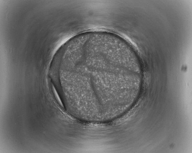 X0000098181269200805221529