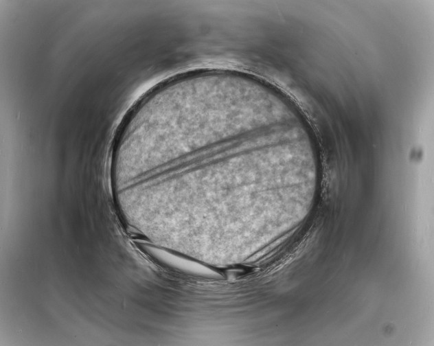 X0000098181272200805221529