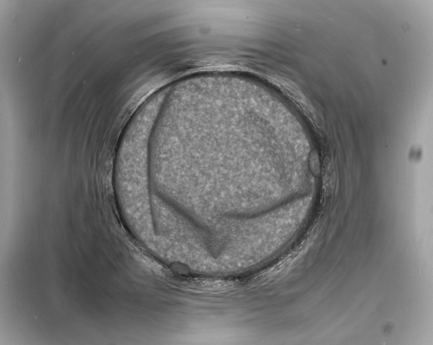 X0000098181273200805221529