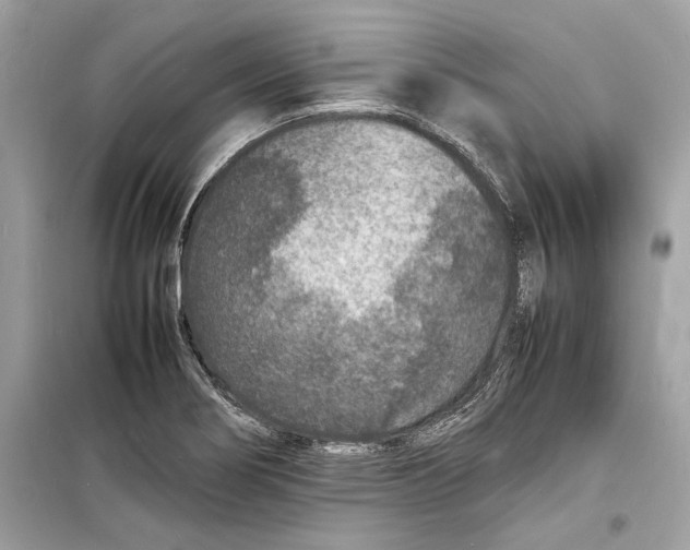 X0000098181274200805221529