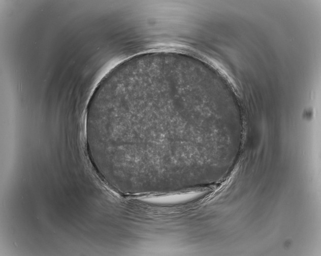 X0000098181275200805221529