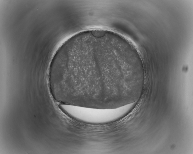 X0000098181279200805221529