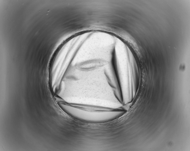 X0000098181280200805221529