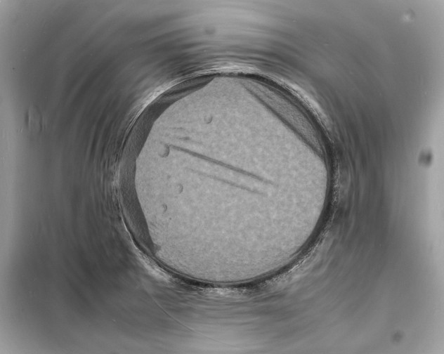 X0000098181281200805221529