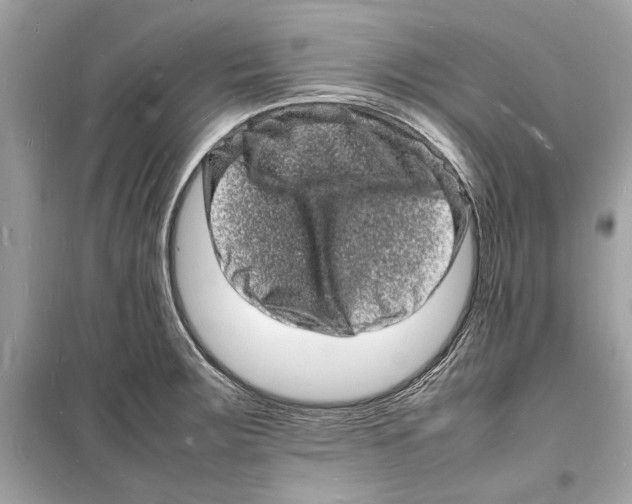 X0000098181283200805221529