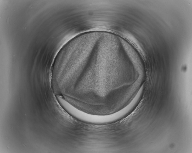 X0000098181284200805221529