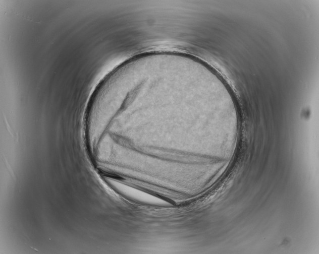 X0000098181285200805221529