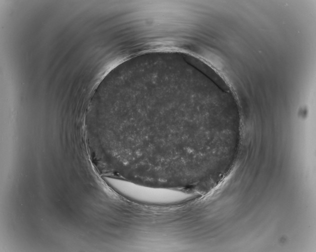 X0000098181289200805221529