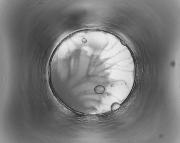 X0000098181291200805221529