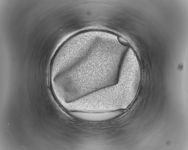 X0000098181295200805221528