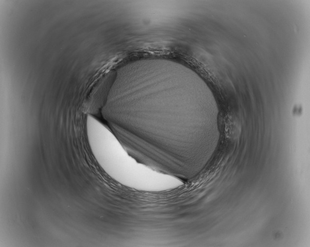 X0000098181298200805221528