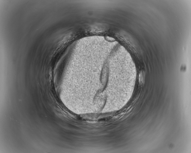 X0000098181299200805221528