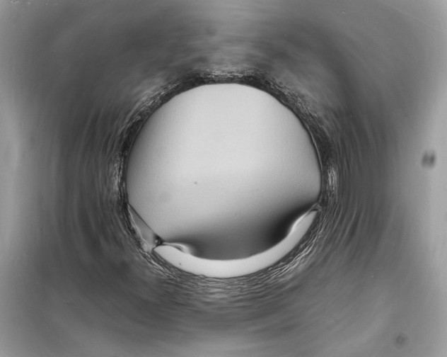 X0000098181300200805221528