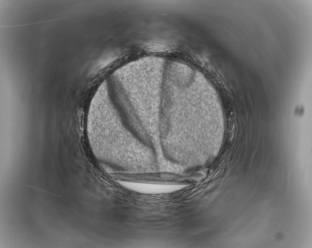 X0000098181301200805221528