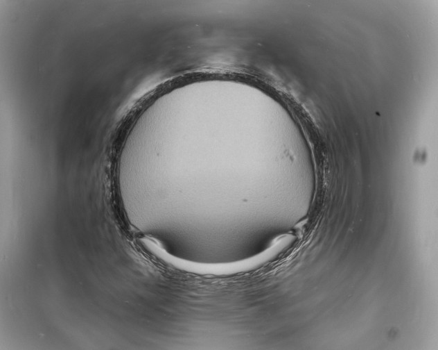 X0000098181304200805221528