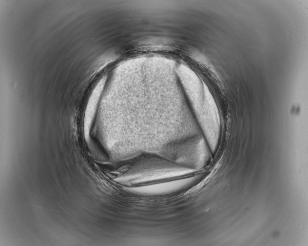 X0000098181305200805221528