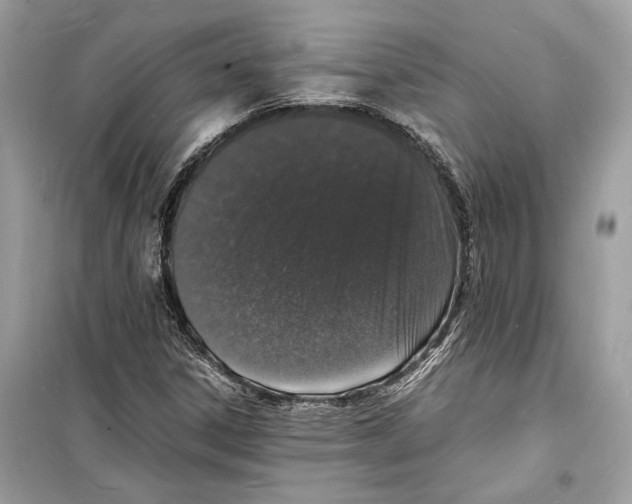 X0000098181306200805221528