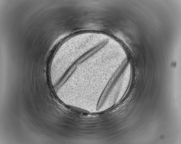 X0000098181307200805221528