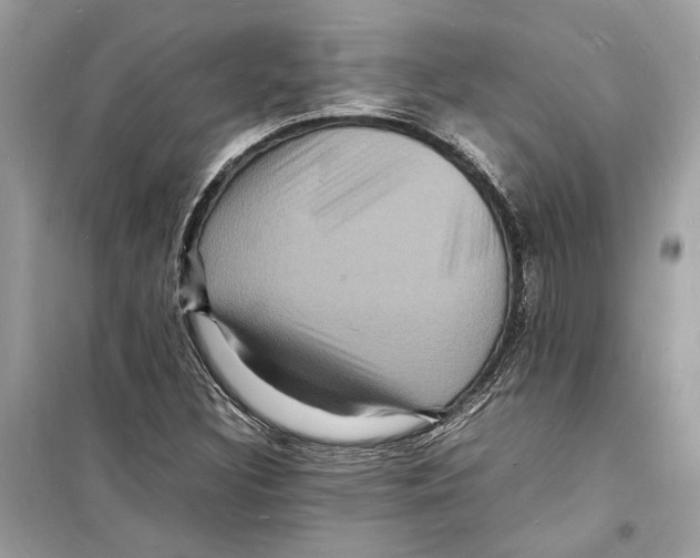 X0000098181308200805221528