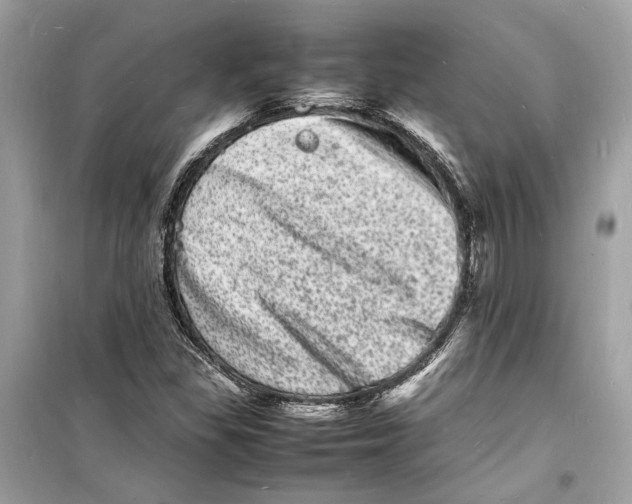 X0000098181309200805221528