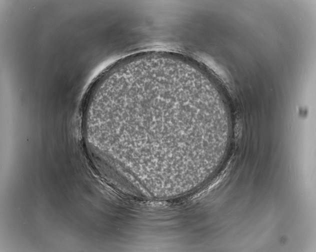 X0000098181310200805221528