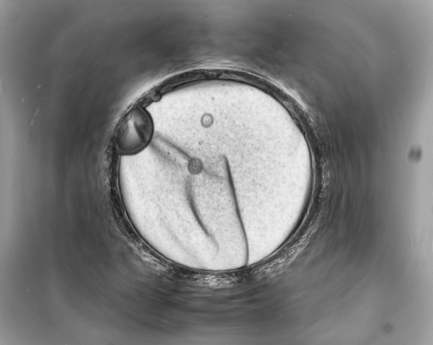 X0000098181311200805221528