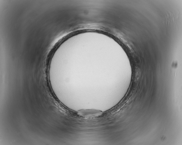 X0000098181312200805221528