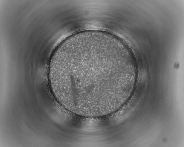 X0000098181314200805221528