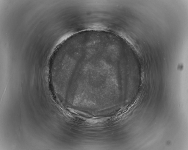 X0000098181315200805221528